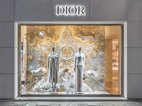 dior vitrine|Dior enchanted windows.